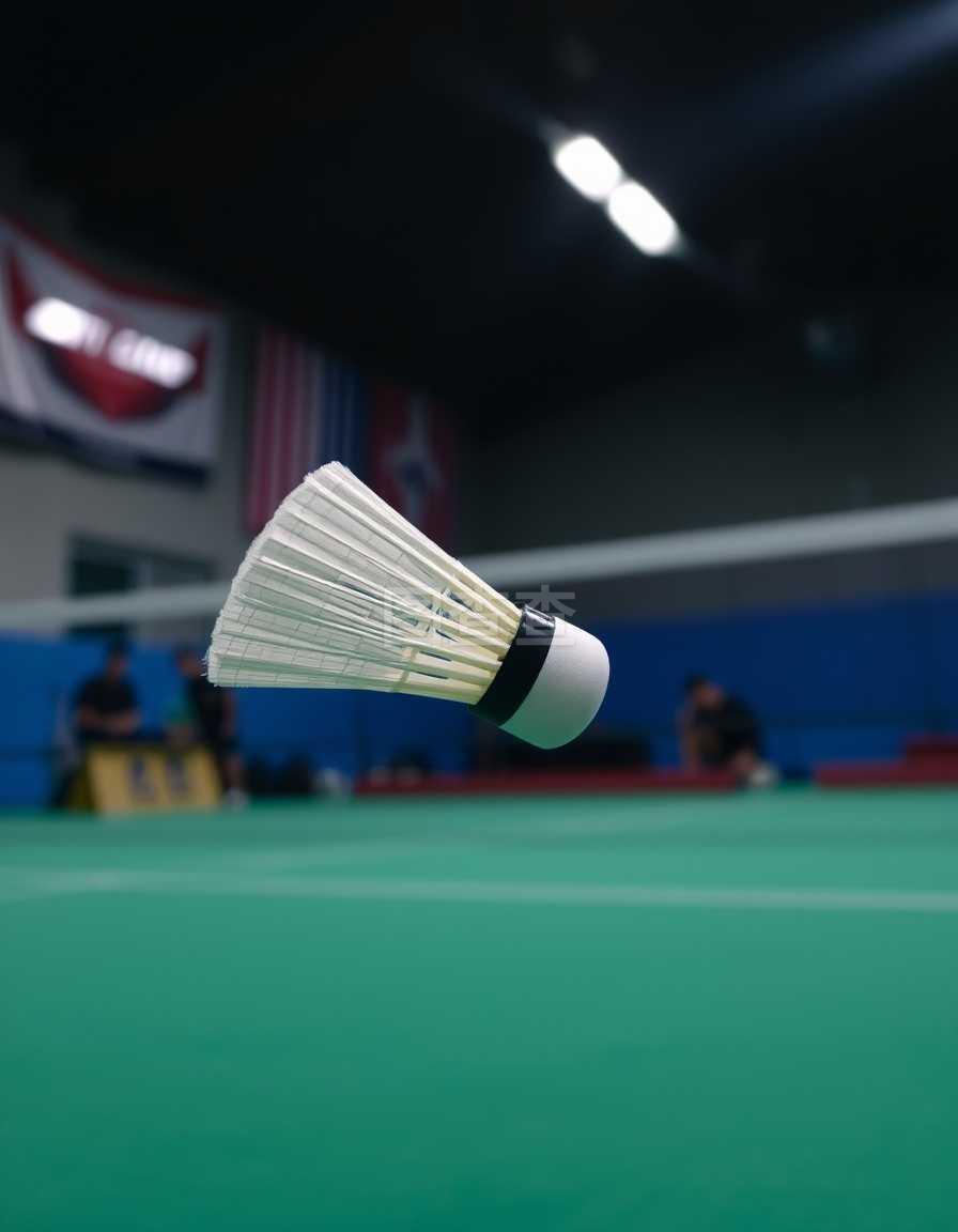 岸线风流 岸线风流