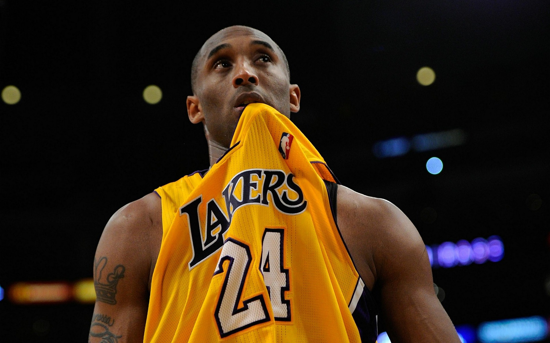 适合人群 适合人群